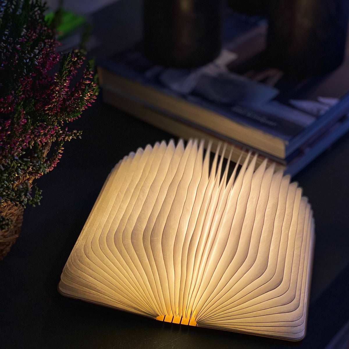 Booklight™ | Créez une ambiance chaleureuse dans chaque pièce !