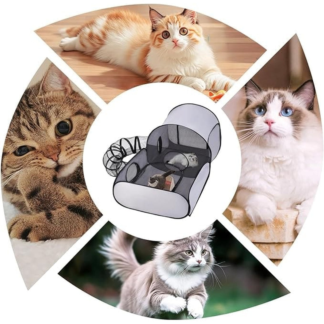 CatTent™ | L'Endroit de Jeu et de Détente Ultime pour Votre Chat.