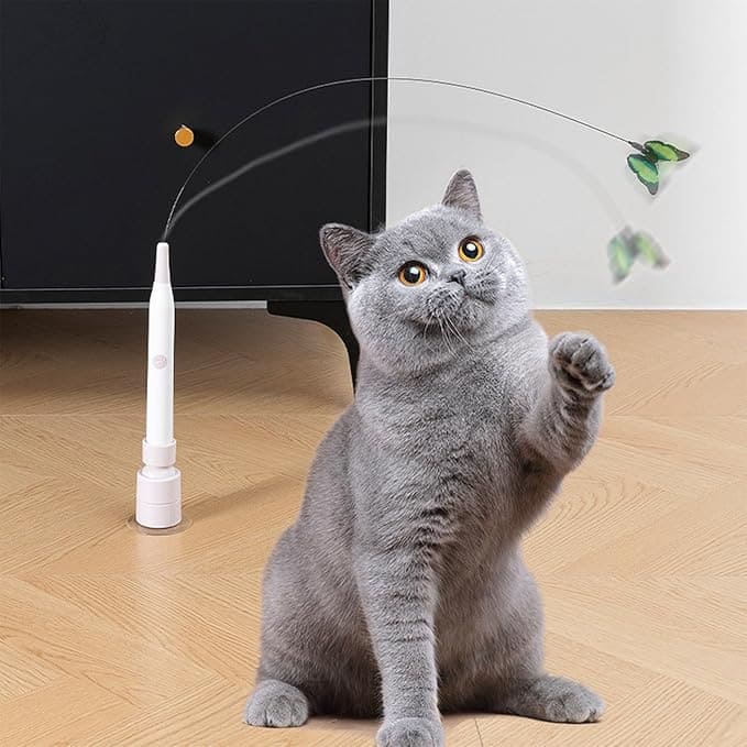 CatFly™ | La Chasse et le Jeu Ultimes pour Votre Chat.