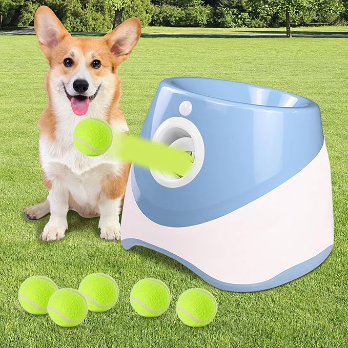 DogLaunch™ | Là où le plaisir et le développement se rencontrent.