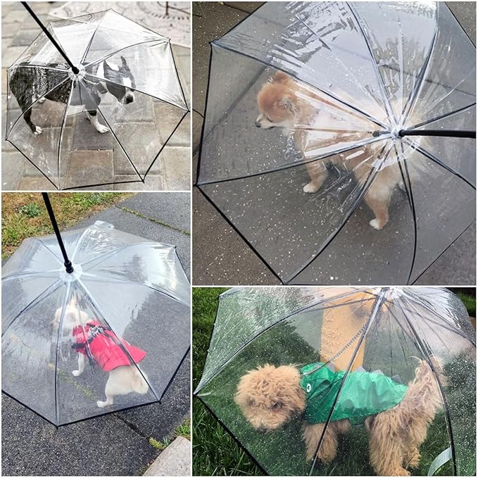 DogPlu™ | La Solution Dé pour les Promenades sous la Pluie.