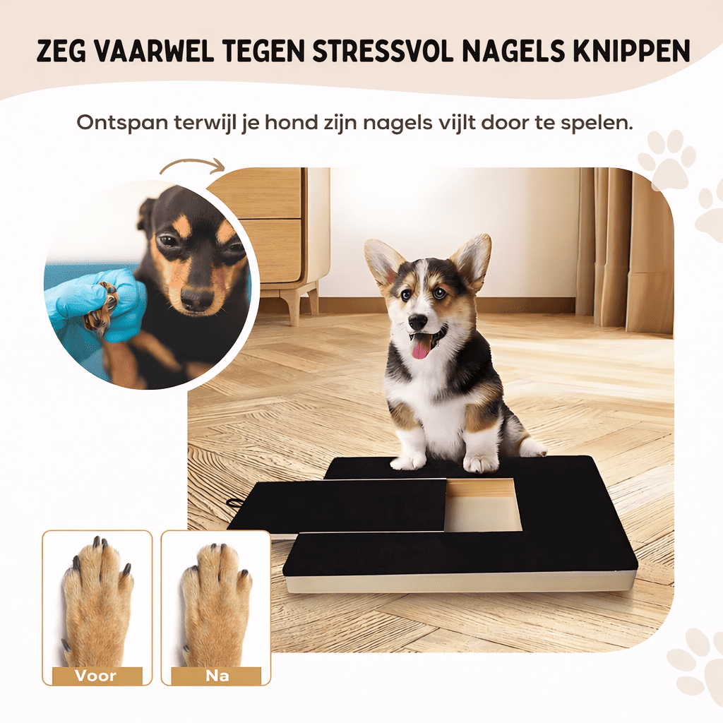 PlayTrim™ | La Solution Intelligente pour les Longs Ongles de Chien.