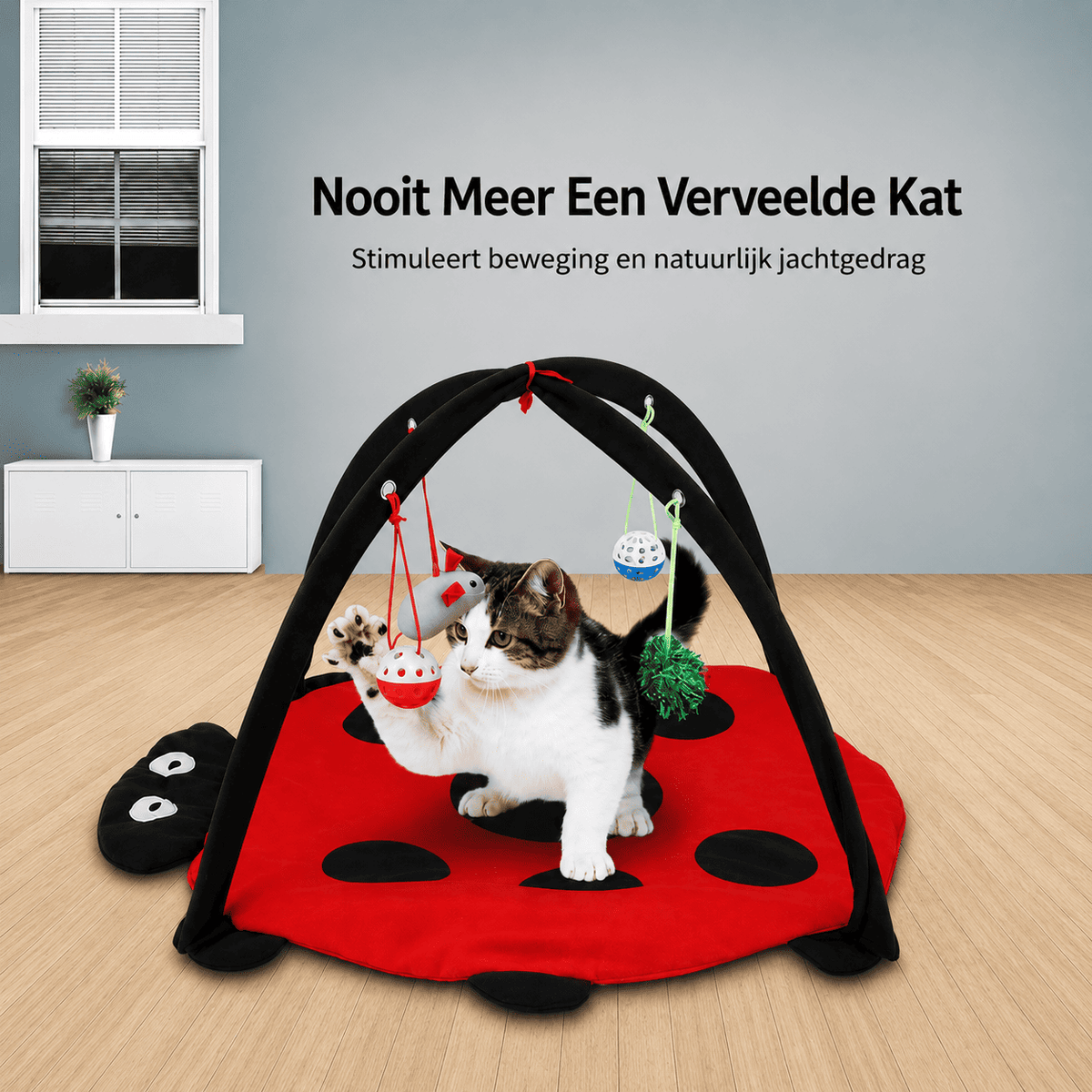 MeowBug™ | Jouer, Sauter & Se Détendre En Un.