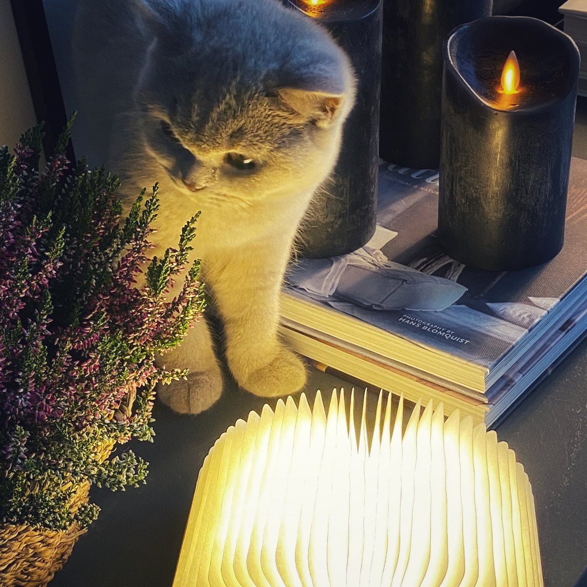 Booklight™ | Créez une ambiance chaleureuse dans chaque pièce !