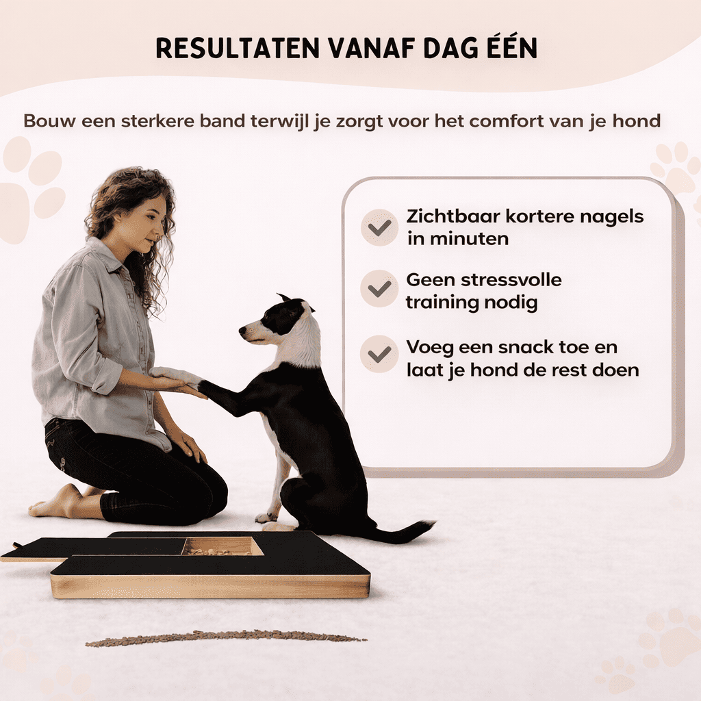 PlayTrim™ | La Solution Intelligente pour les Ongles Longs des Chiens.