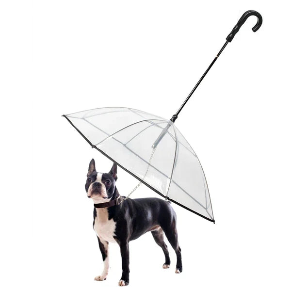 DogPlu™ | La Solution de Parapluie pour les Promenades Sous la Pluie.