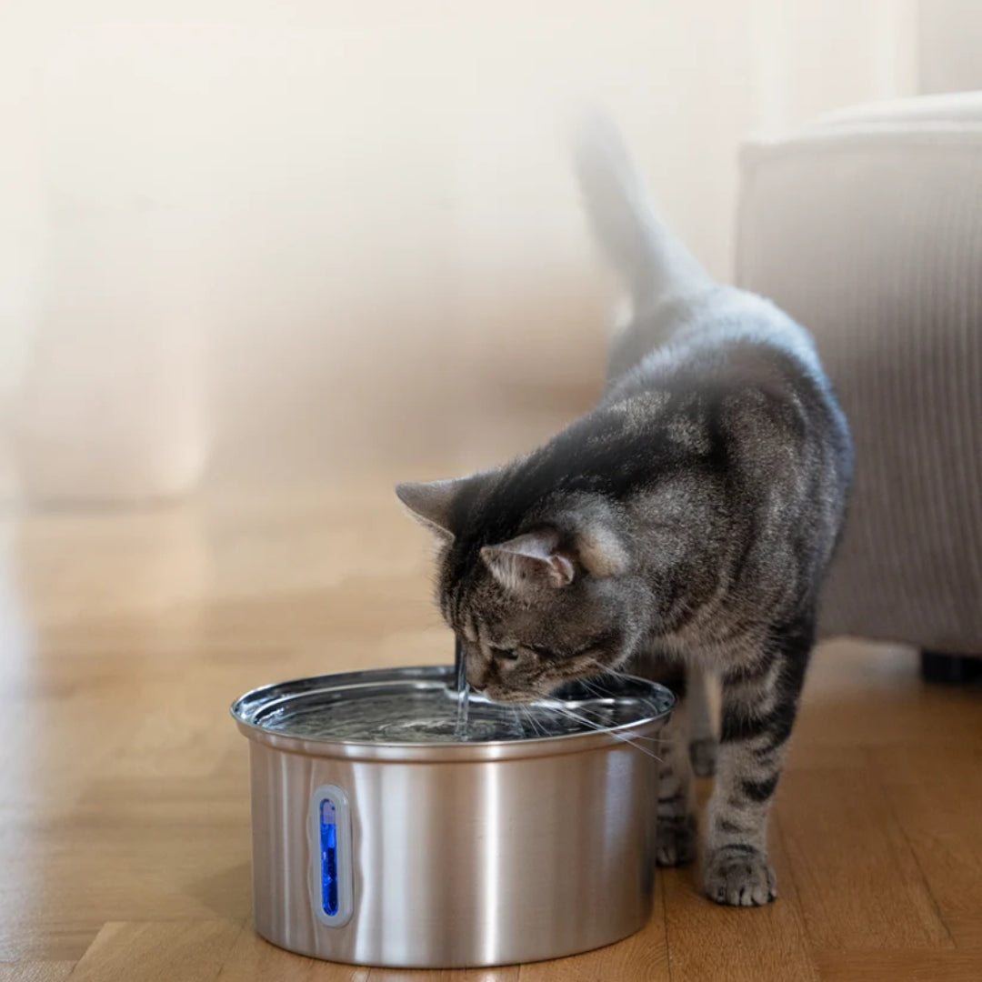 SensorPaw™ | Fontaine à eau sans fil pour chats