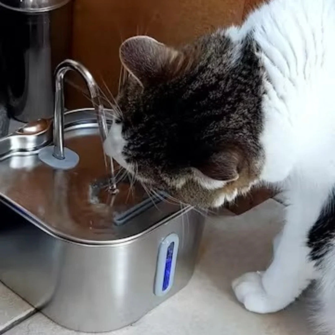 SensorPaw™ | Fontaine à eau sans fil pour chats
