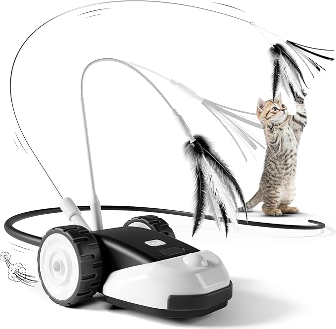 CatMouse™ | Jouez Indépendamment Pendant Votre Absence.