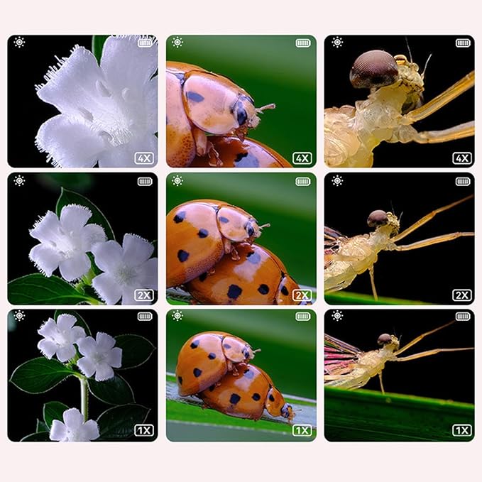 Kids-Microscope™ | Transformez Chaque Découverte en Aventure Inoubliable !