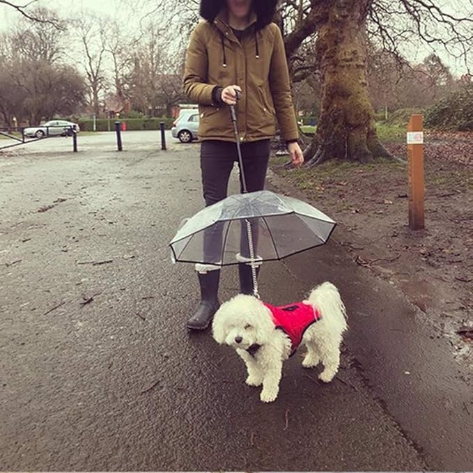 DogPlu™ | La Solution Dé pour les Promenades sous la Pluie.