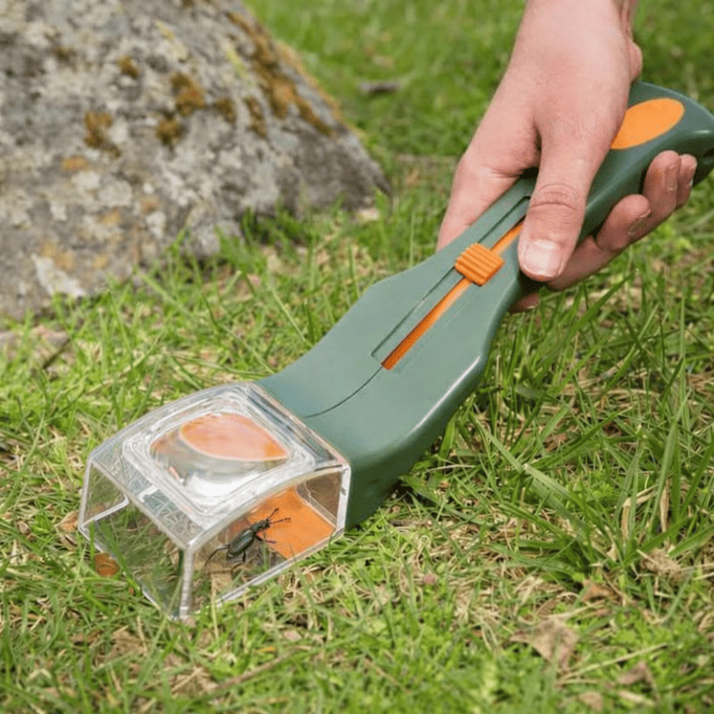 QuickCatch™ | Éliminez les Insectes Sans Problèmes.