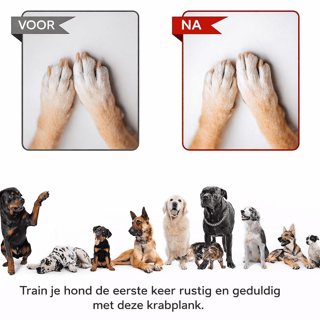 PlayTrim™ | La Solution Intelligente pour les Longs Ongles de Chien.