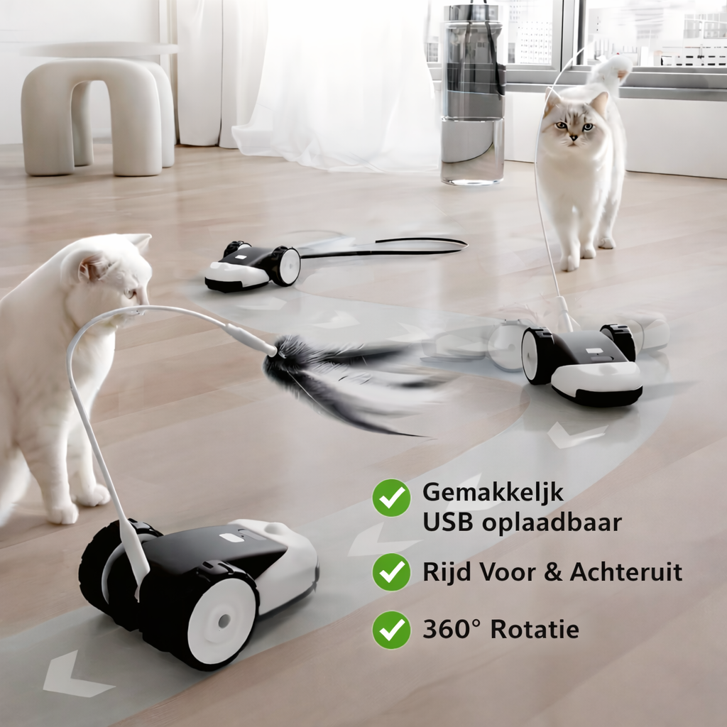 CatMouse™ | Joue de Manière Autonome Pendant Ton Absence.