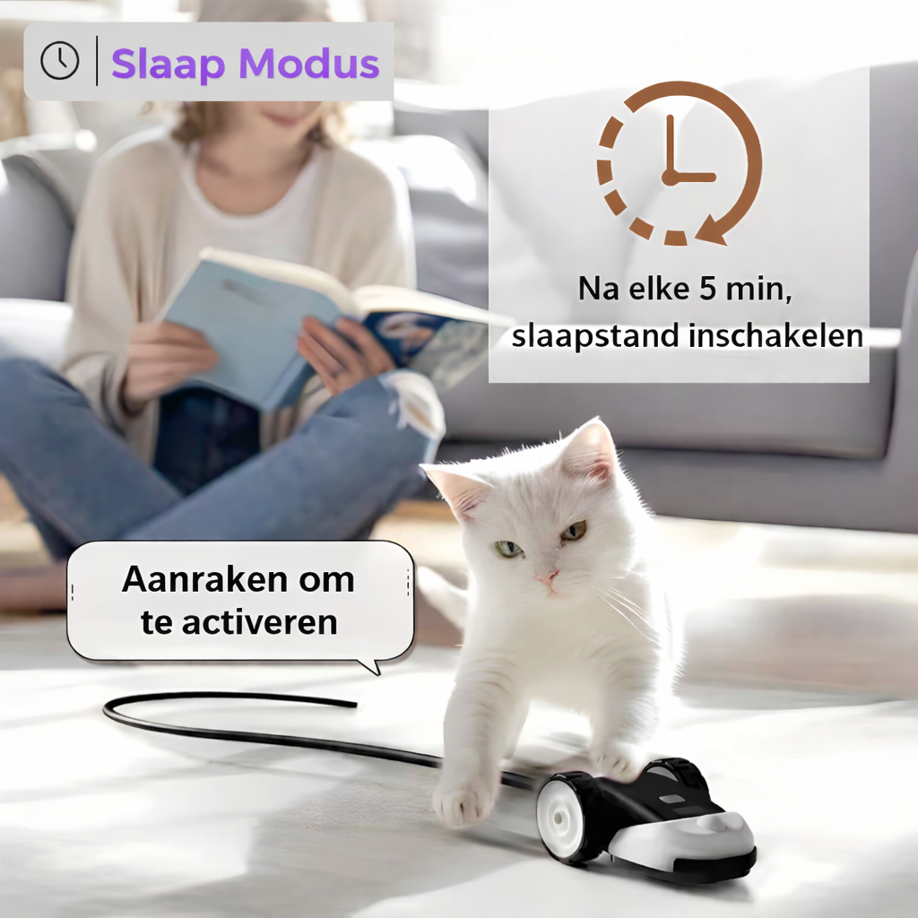 CatMouse™ | Jouez Indépendamment Pendant Votre Absence.
