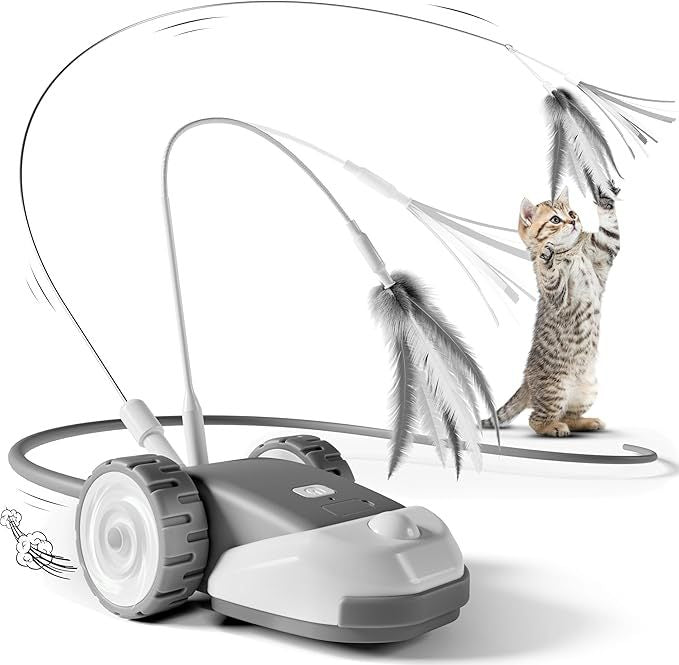 CatMouse™ | Jouez de Manière Autonome Pendant Votre Absence.