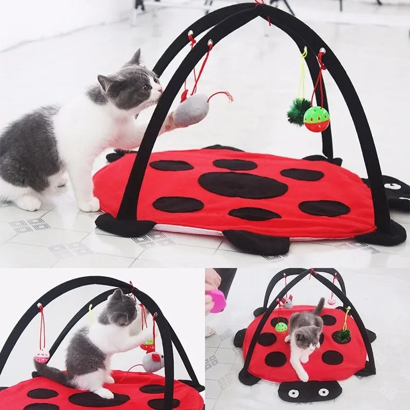 MeowBug™ | Jouer, Sauter & Se Détendre En Un.