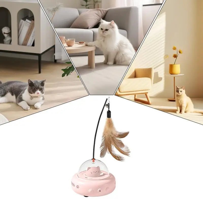 Catkomeet™ | Le Jouet pour Animaux de Compagnie pour Chasser et Poursuivre !
