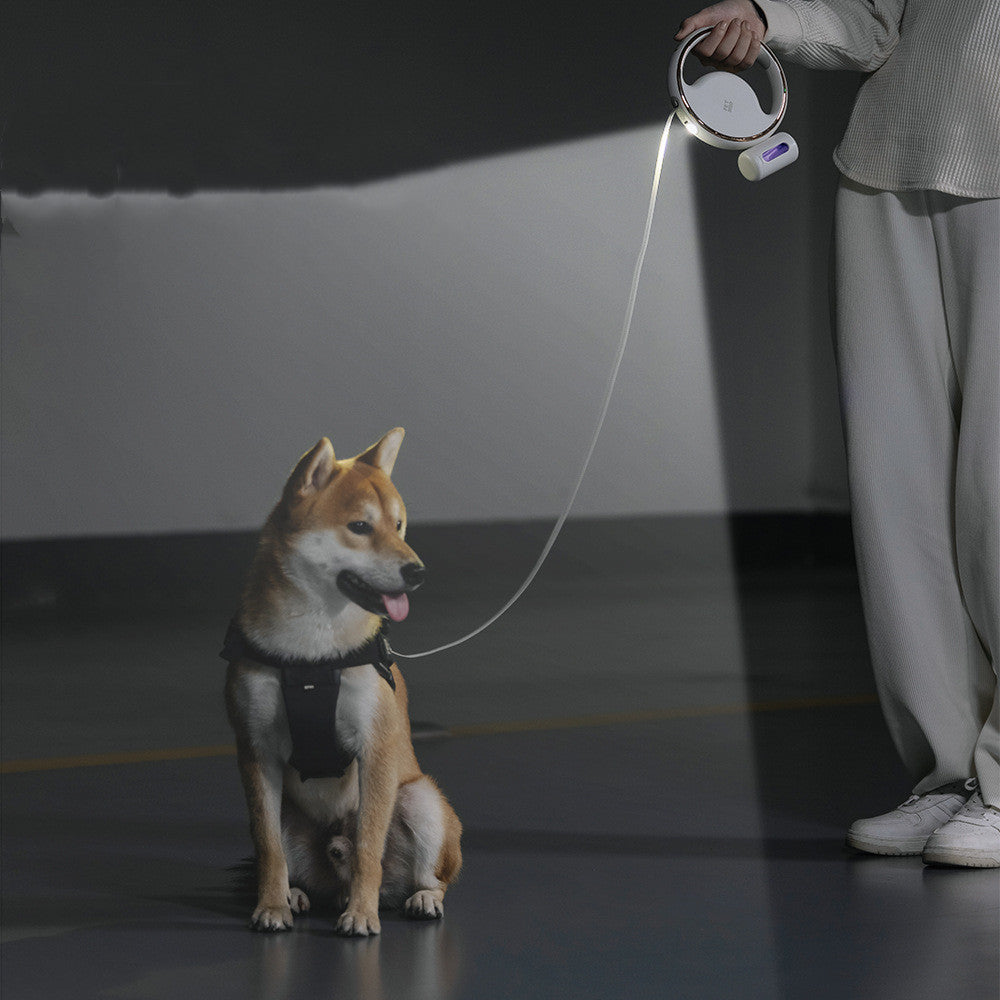 Pet Leash™ | Les Solutions Intelligentes pour Chaque Amoureux des Chiens !
