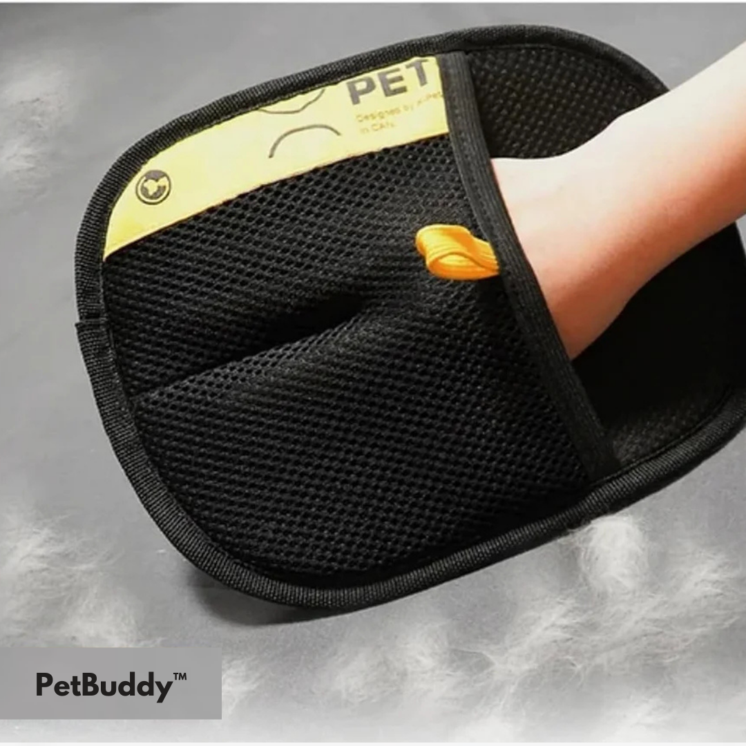 PetBuddy™ | La Solution pour un Environnement Propre et Sans Poils.