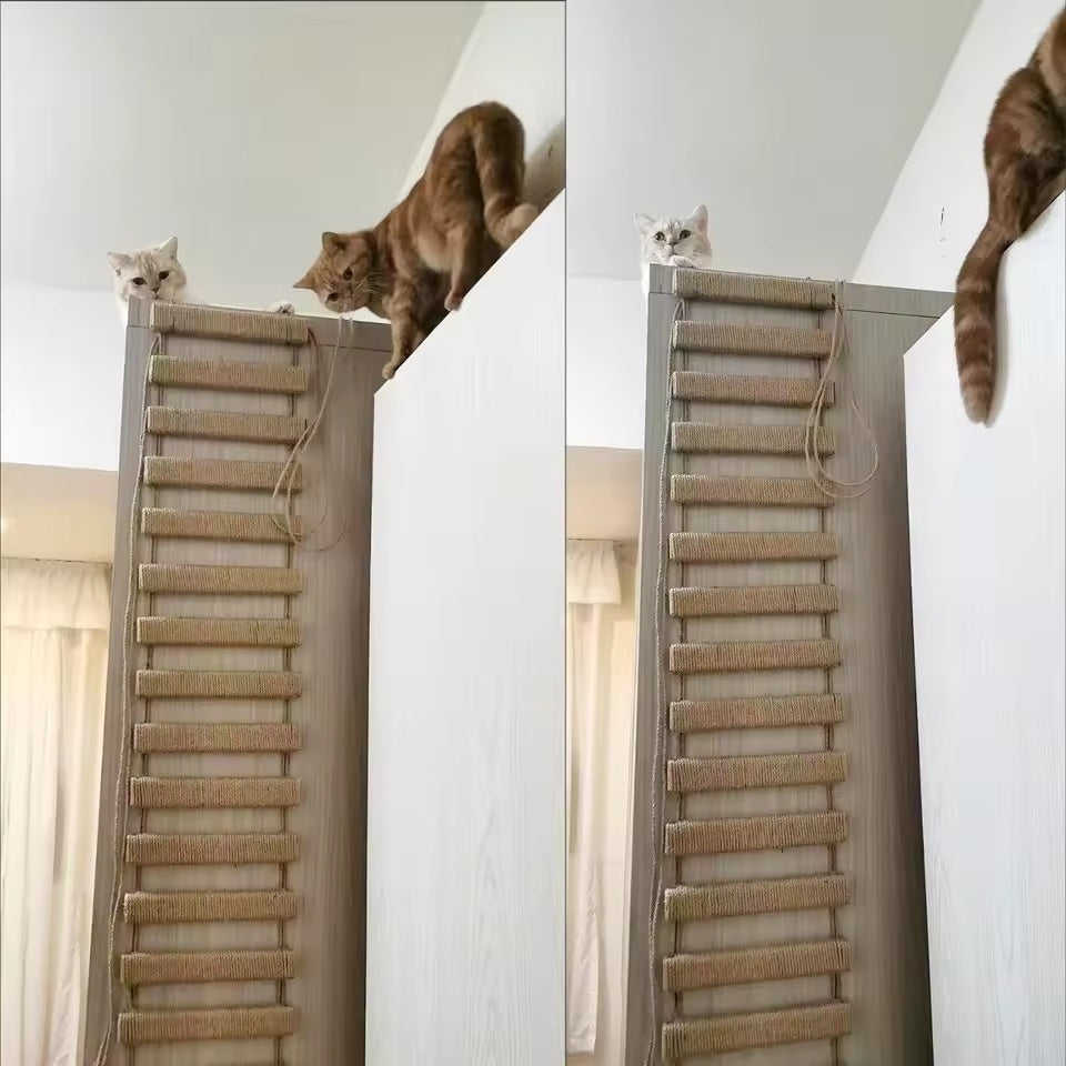 CatTrap™ | Offrez à Votre Chat un Plaisir de Grimpe Inépuisable.