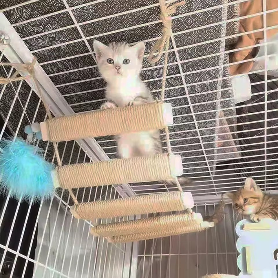 CatTrap™ | Offrez à Votre Chat un Plaisir de Grimpe Inépuisable.