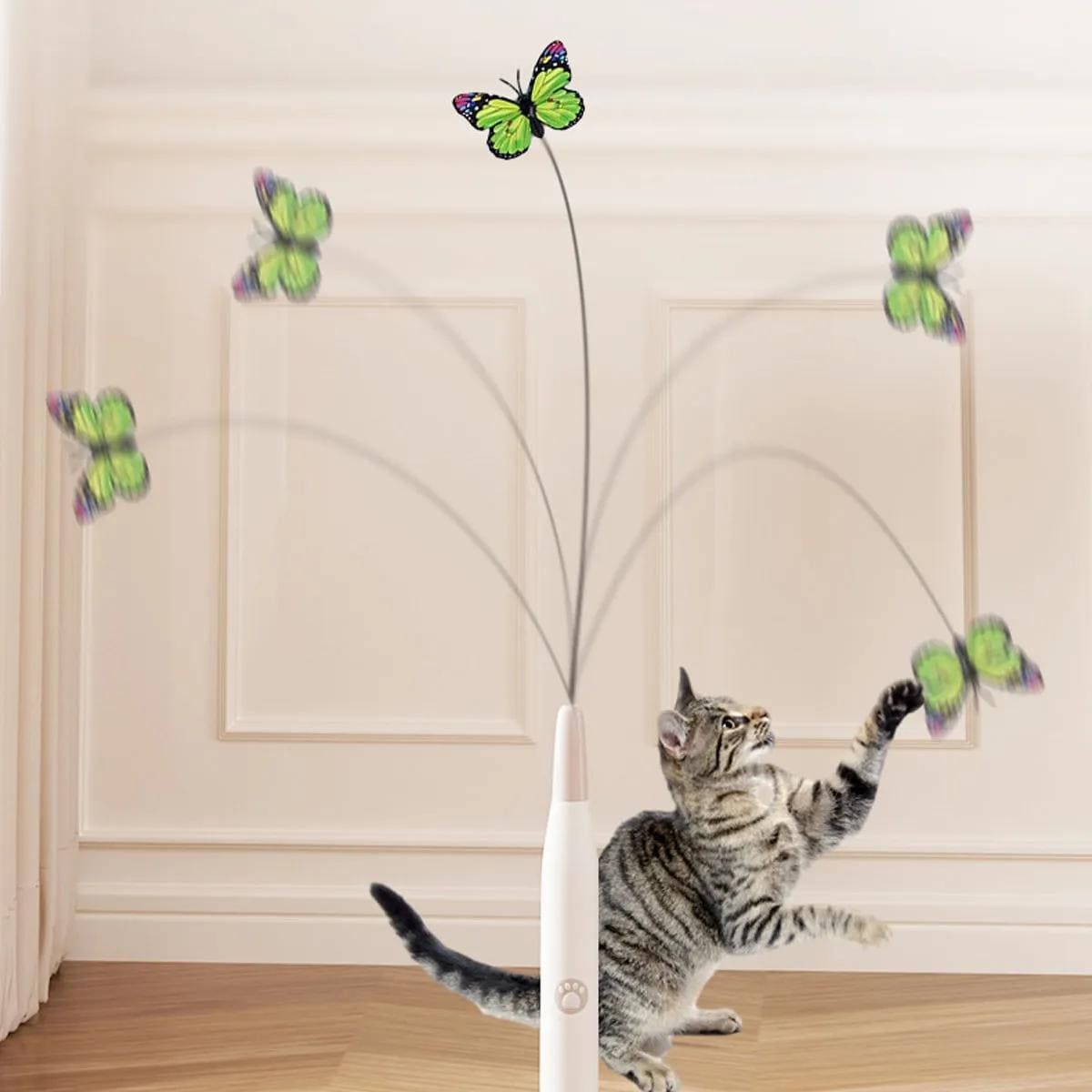 CatFly™ | La Chasse Ultime et Stimulation de Jeu.