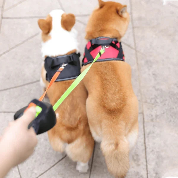 Pawtrexo™ | Laisse à chien rétractable double
