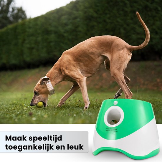 DogLaunch™ | Où Plaisir et Développement se Rencontrent.