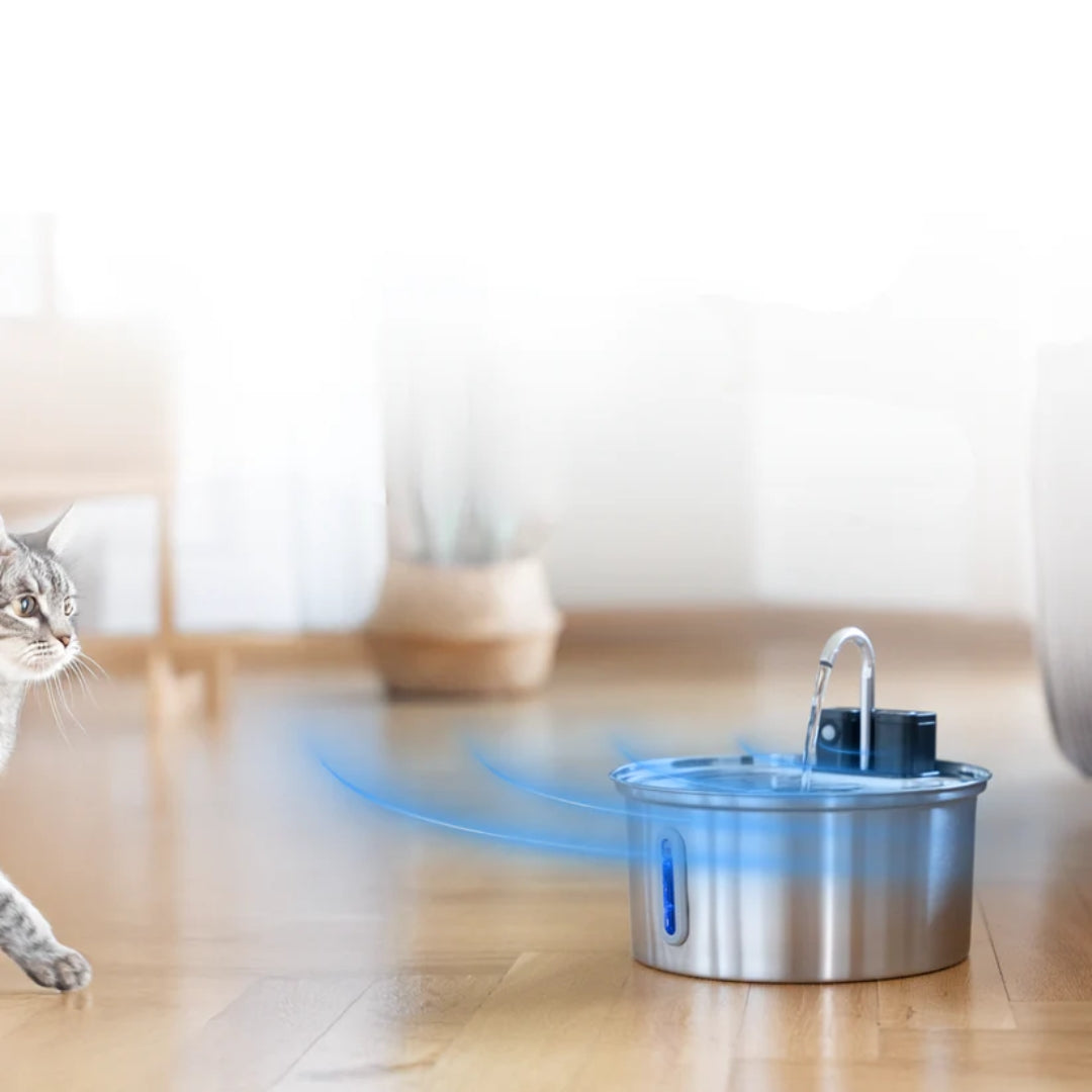 SensorPaw™ | Fontaine à eau sans fil pour chats